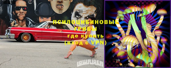 соль курить ск Липки