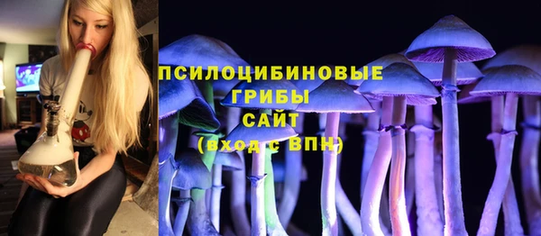 соль курить ск Липки
