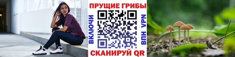 Псилоцибиновые грибы Cubensis  Купить где  Новосокольники 
