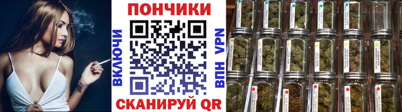 Купить закладки Новосокольники Канабис сатива